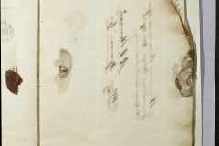 0168-001-121-037