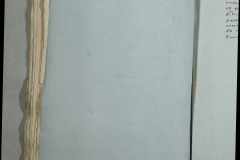 0168-001-277-254