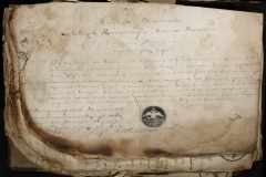0168-001-310-007