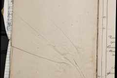 0168-001-311-004