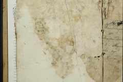 0168-001-317-004