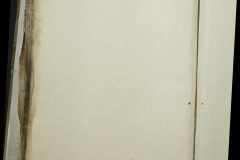 0168-001-319-196
