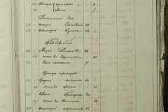 0168-001-319-251