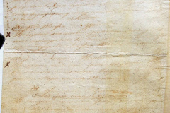241