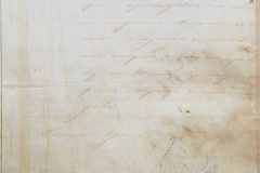 241