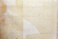 241