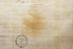 241