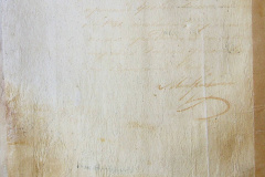 241