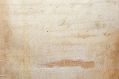 241