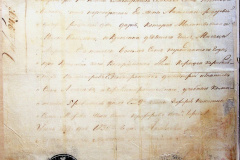 241