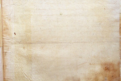 241