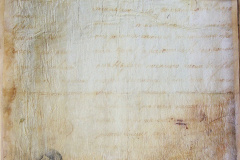 241