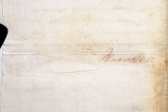 241