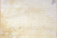 241