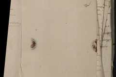 0168-001-335-111