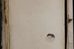 0168-001-369-119
