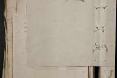 0168-001-427-646