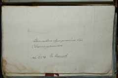 0168-001-435-274
