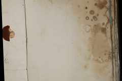 0168-001-436-037
