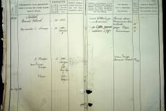 241