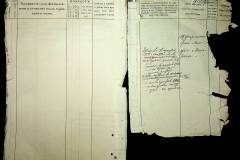 241