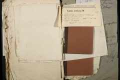 0221-001-236-176