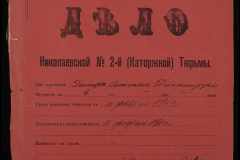 0250-001-066-001