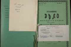 0250-001-115-008