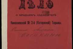 0250-003-225-001