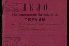 0250-005-096-001