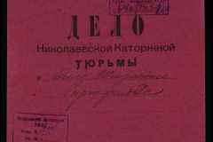 0250-005-203-001