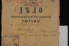 0250-005-336-001