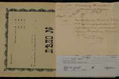 0250-005-491-002