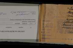 0250-005-594-005