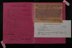 0250-005-707-002