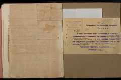 0250-005-739-006