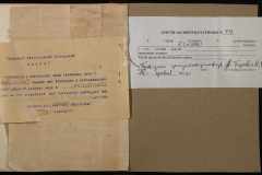 0250-005-739-007