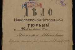 0250-005-1041-001