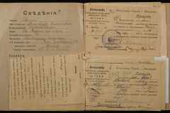 0250-006-035-009
