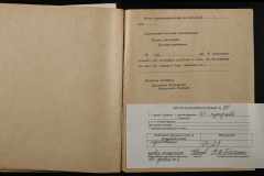 0250-006-091-033