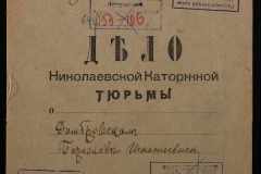 0250-006-106-001