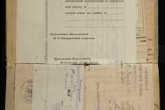 0250-006-234-038