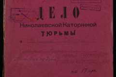 0250-006-313-001