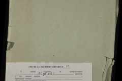 0251-002-051-013