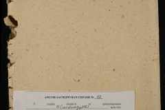 0251-002-052-020