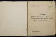 0251-002-381-007