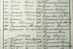 241