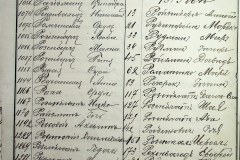 241