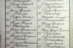 241