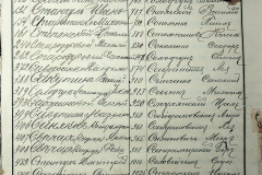 241